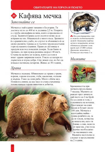 100+ животни от България - Image 2