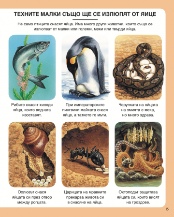 Енциклопедия на природата - Image 4