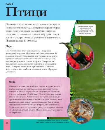 Голяма енциклопедия на животните - Image 2