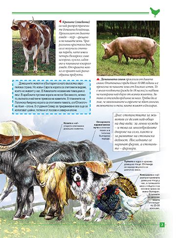 Моята първа книга за животните в България - Image 3