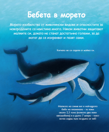 Енциклопедия за най-малките. Бебетата на животните - Image 4