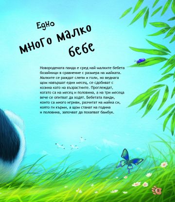 Най-сладките БЕБЕТА животни - Image 3