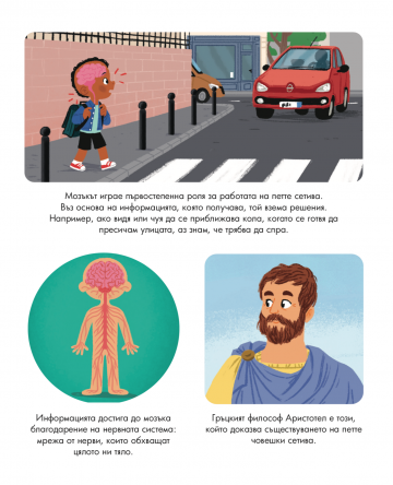 Енциклопедия за най-малките. Петте сетива - Image 3