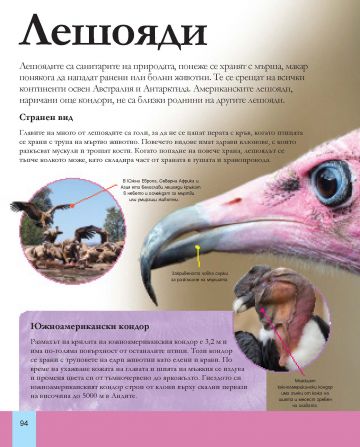 Голяма енциклопедия на животните - Image 3