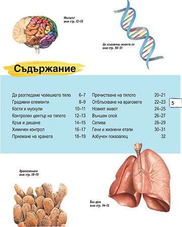Детска енциклопедия. Човешкото тяло - Image 3