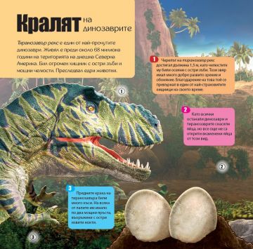 Панорамна книга с капачета: ДИНОЗАВРИ - Image 4