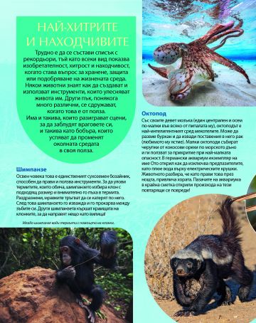 Рекорди на животните - Image 4