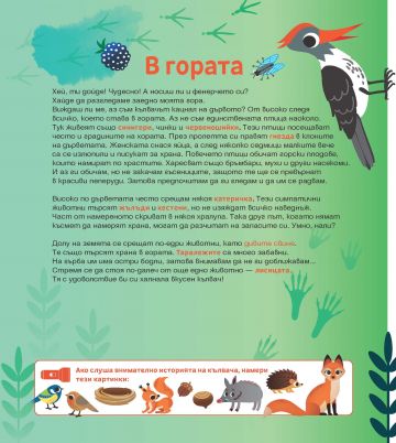 Търси и открий! Светът на животните - книга с фенерче - Image 2