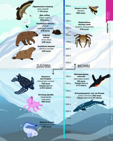 Нашият свят: цифри, мерки, факти и неочаквани сравнения - Image 3