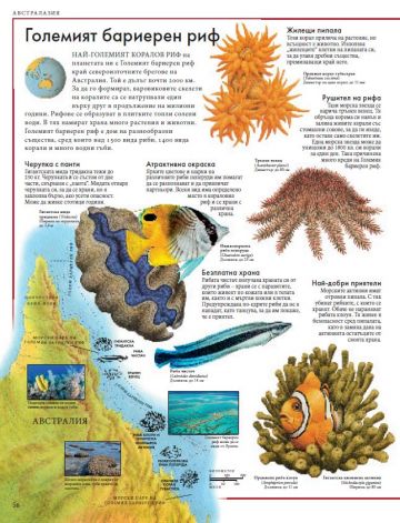 Атлас на животните по света - Image 4