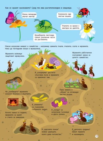 Светът на живата природа - Image 3