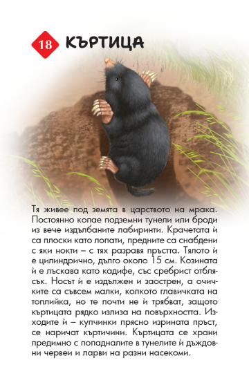 100 животни от България. Образователни карти - Image 3