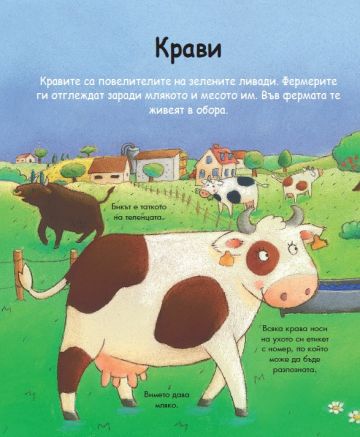 Енциклопедия за най-малките. Животните от фермата - Image 4
