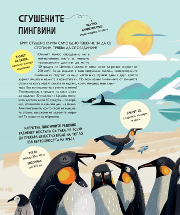 ЗАЕДНО: Да се научим от животните да си помагаме - Image 4