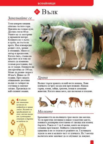 100+ животни от България - Image 3