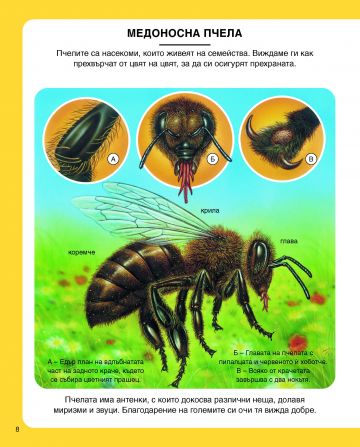 Енциклопедия на малките животни - Image 2