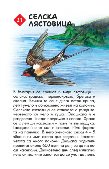 100 животни от България. Образователни карти - Image 4