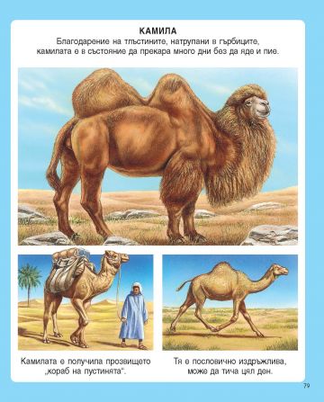 Енциклопедия на животните - Image 4