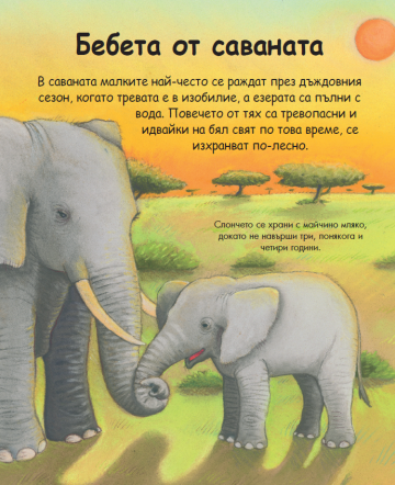 Енциклопедия за най-малките. Бебетата на животните - Image 3