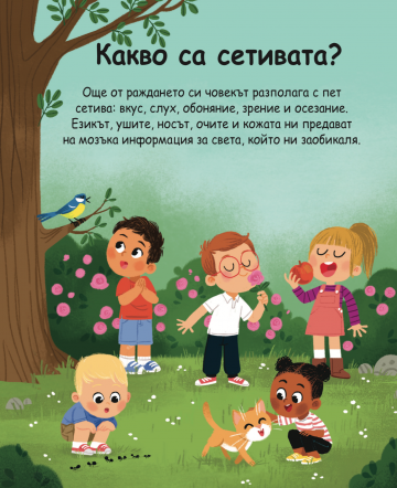 Енциклопедия за най-малките. Петте сетива - Image 2