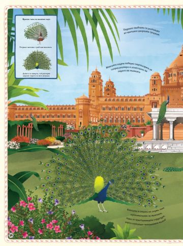 АТЛАС: Животни от цял свят - Image 4