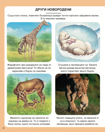 Енциклопедия на природата - Image 3