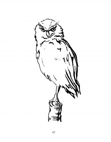 Любовта е хищна птица - Image 4