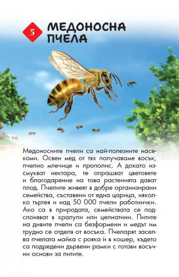 100 животни от България. Образователни карти - Image 2