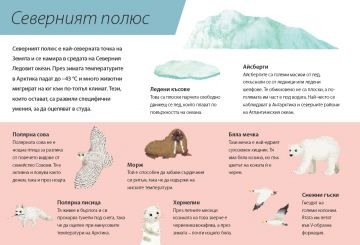 ОТГОРЕ и ОТДОЛУ: Животните над и под повърхността на земята и водата - Image 3