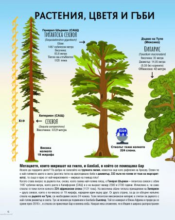 Нашият свят: цифри, мерки, факти и неочаквани сравнения - Image 4