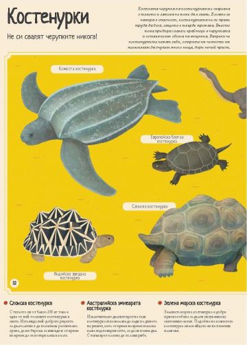 Енциклопедия на животните за млади читатели - Image 4