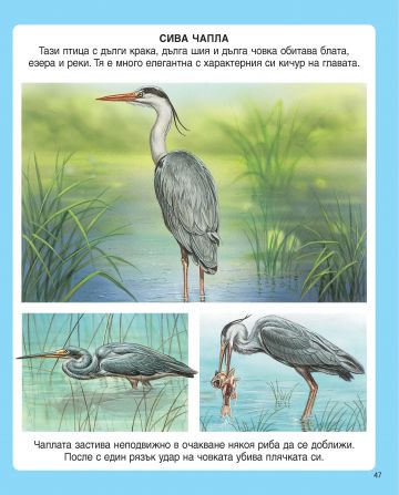 Енциклопедия на животните - Image 3