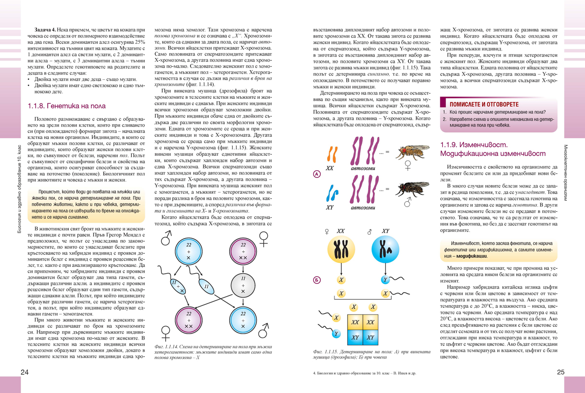 Биология и здравно образование за 10. клас - Image 4