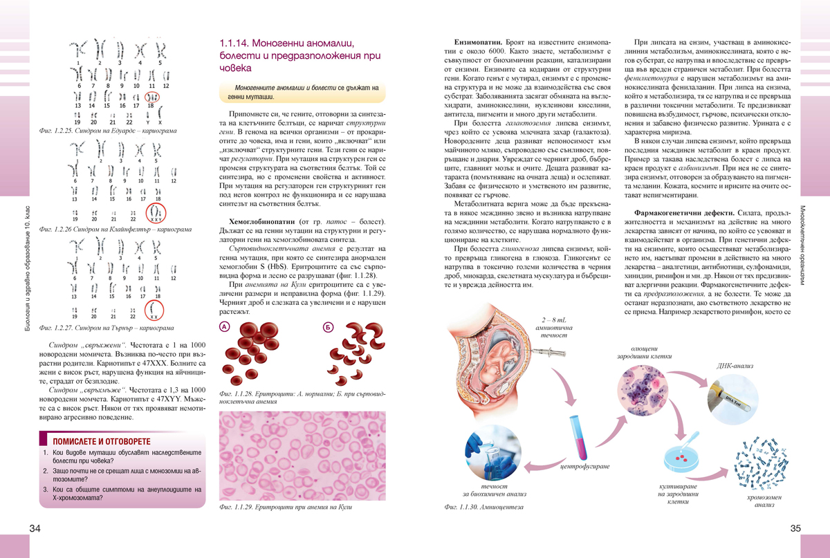 Биология и здравно образование за 10. клас - Image 5
