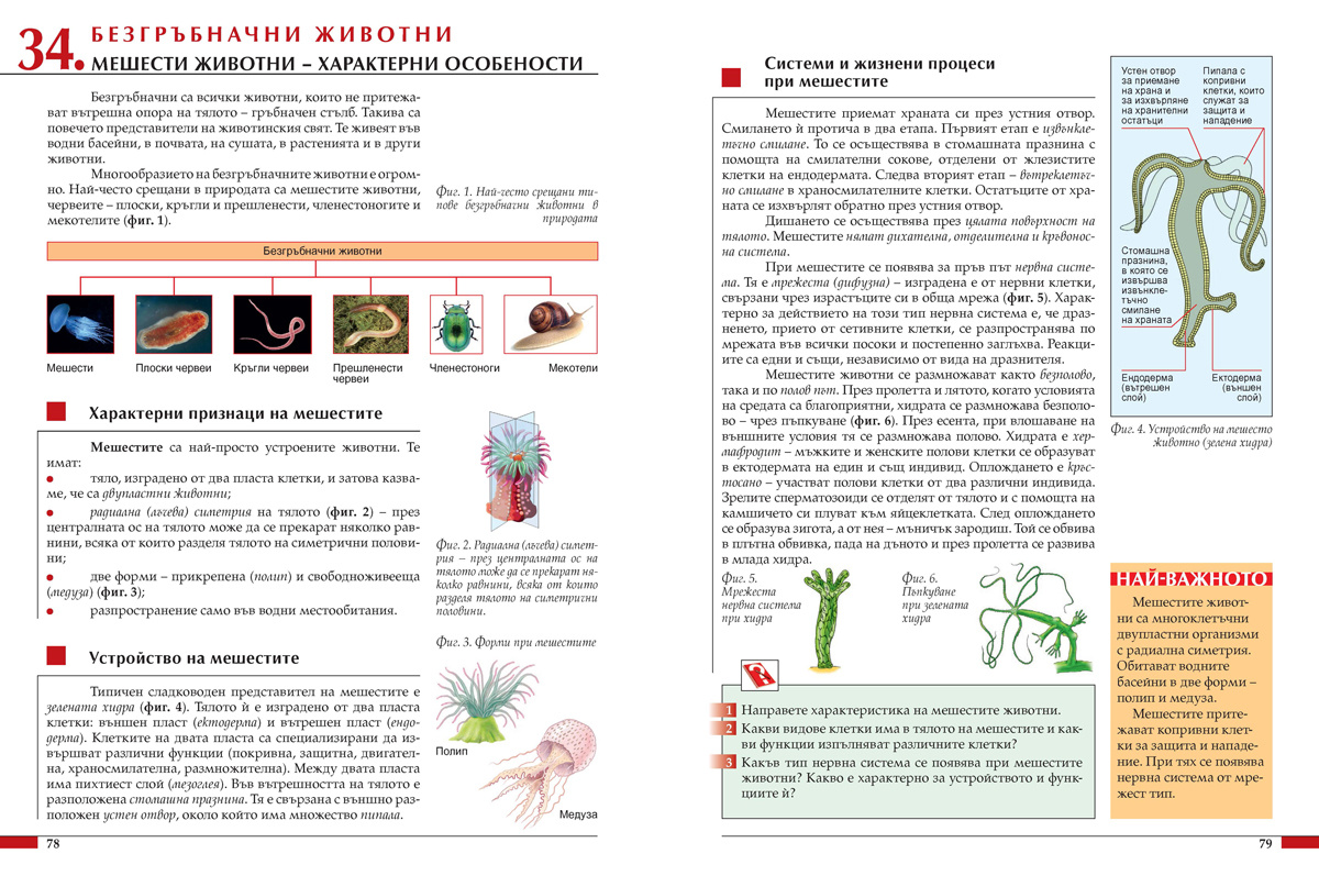 Биология и здравно образование за 7. клас - Image 7