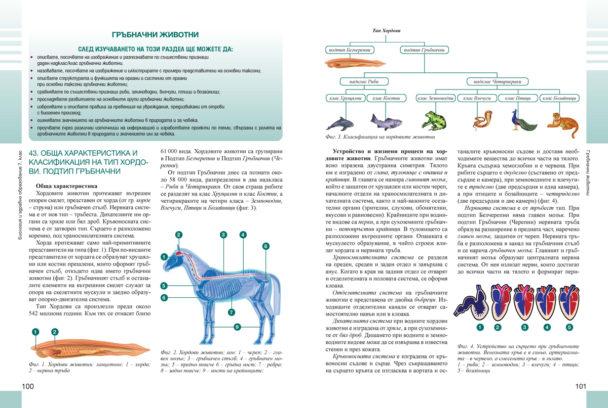 Биология и здравно образование за 7. клас - Image 7
