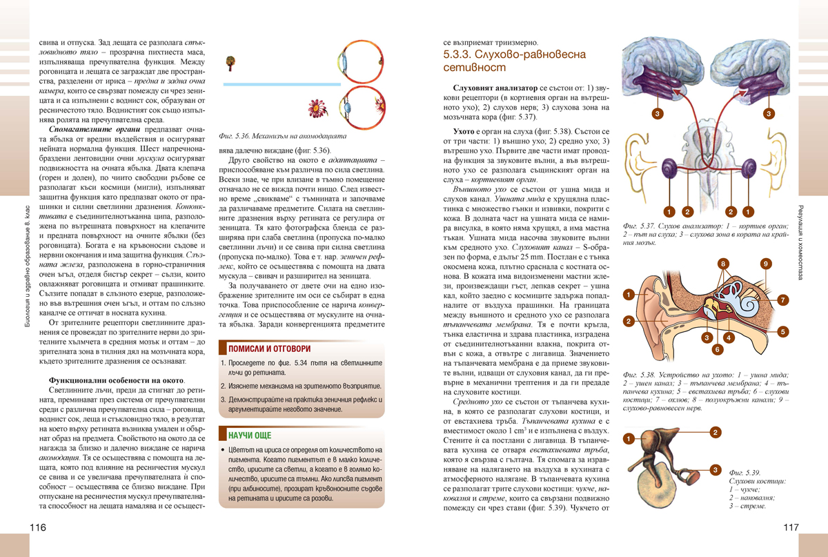 Биология и здравно образование за 8. клас (и първа част за 9. клас при обучение с интензивно изучаване на чужд език) - Image 7