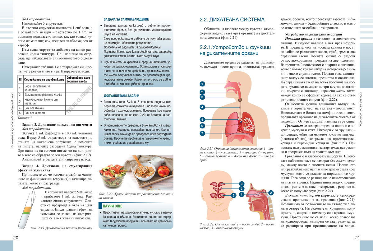 Биология и здравно образование за 8. клас (и първа част за 9. клас при обучение с интензивно изучаване на чужд език) - Image 4