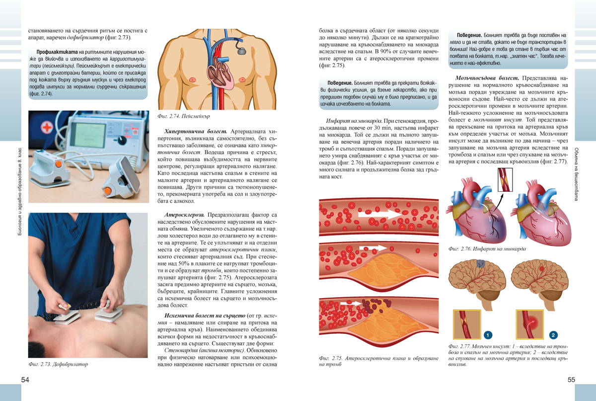 Биология и здравно образование за 8. клас (и първа част за 9. клас при обучение с интензивно изучаване на чужд език) - Image 5