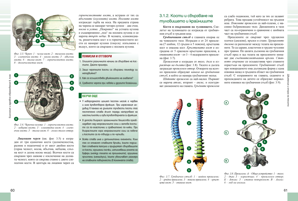 Биология и здравно образование за 8. клас (и първа част за 9. клас при обучение с интензивно изучаване на чужд език) - Image 6