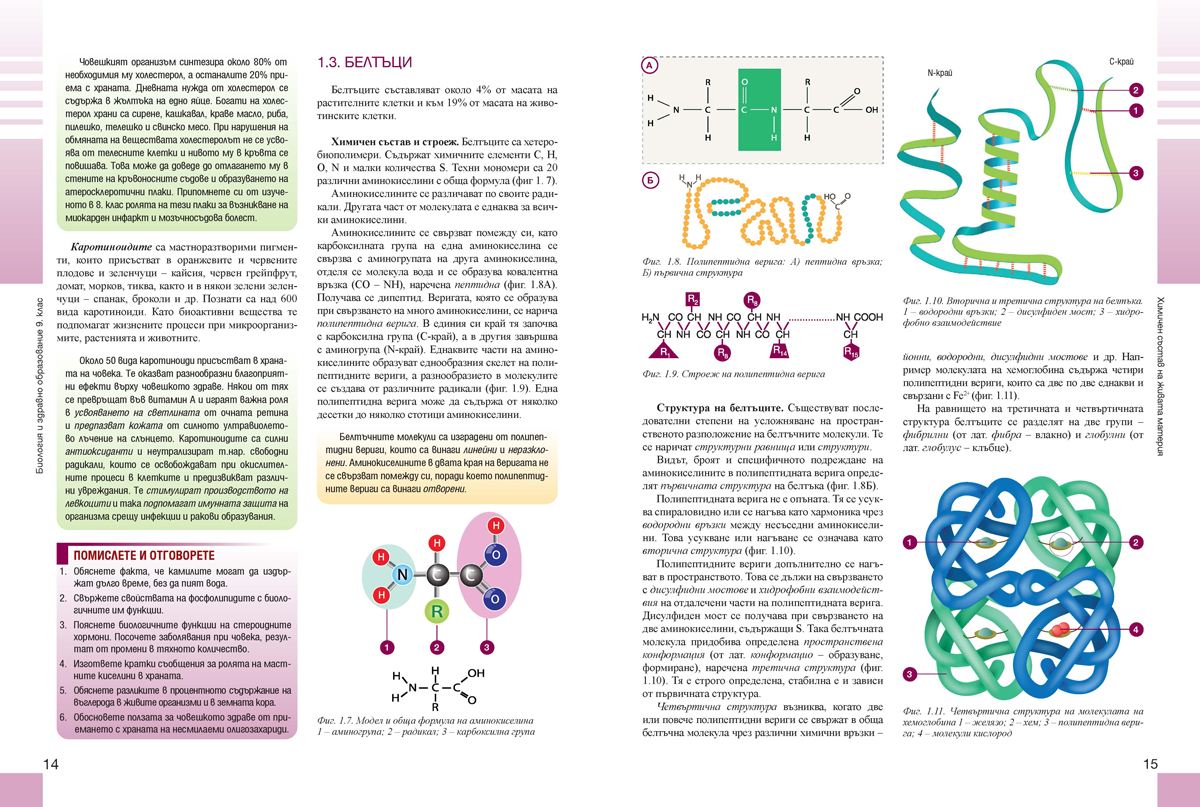 Биология и здравно образование за 9. клас (и втора част за 9. клас при обучение с интензивно изучаване на чужд език) - Image 3