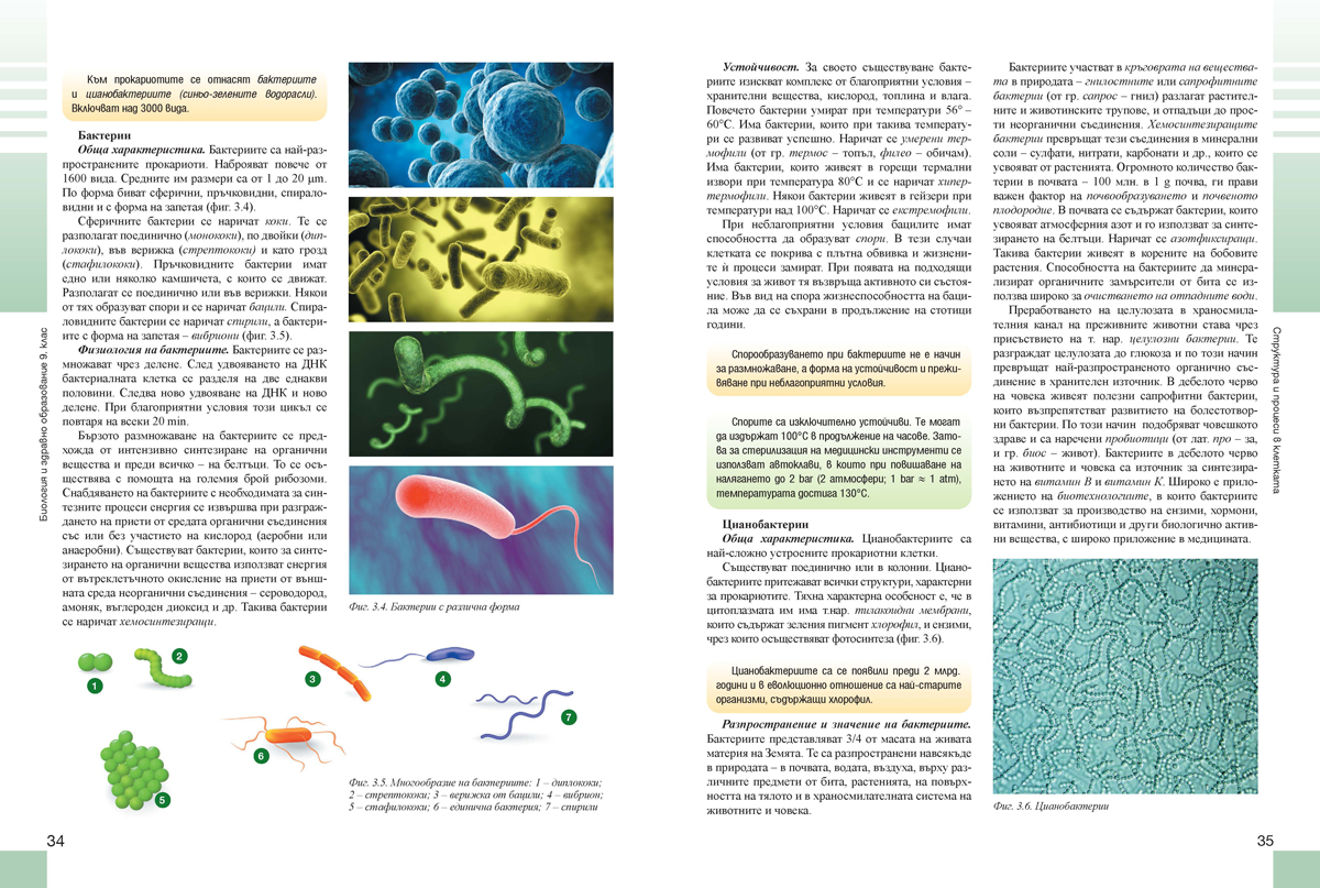 Биология и здравно образование за 9. клас (и втора част за 9. клас при обучение с интензивно изучаване на чужд език) - Image 4