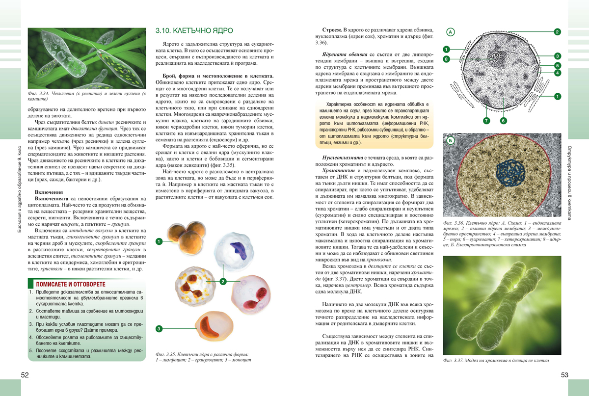 Биология и здравно образование за 9. клас (и втора част за 9. клас при обучение с интензивно изучаване на чужд език) - Image 6