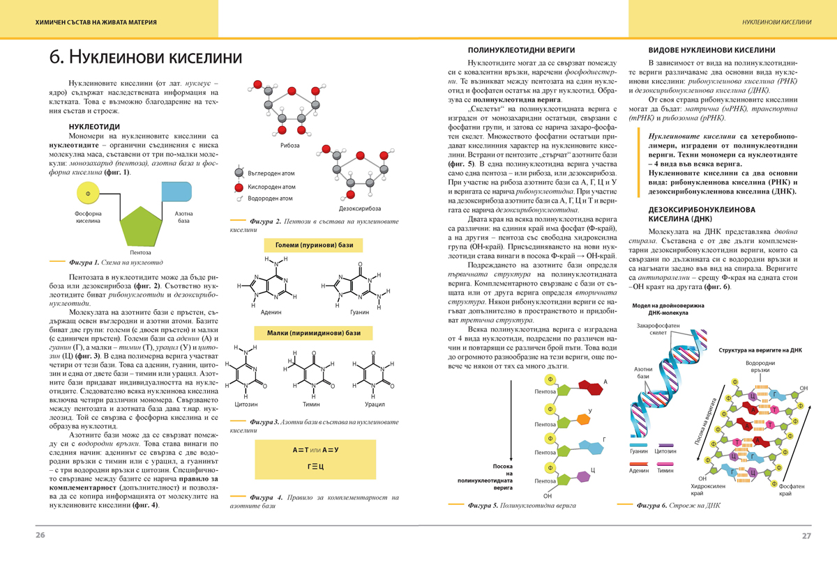 Биология и здравно образование за 9. клас (и втора част за 9. клас при обучение с интензивно изучаване на чужд език) - Image 5