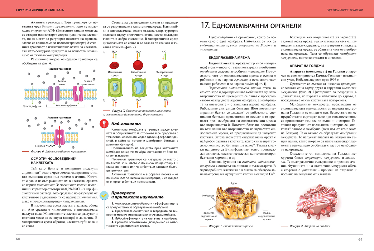 Биология и здравно образование за 9. клас (и втора част за 9. клас при обучение с интензивно изучаване на чужд език) - Image 6