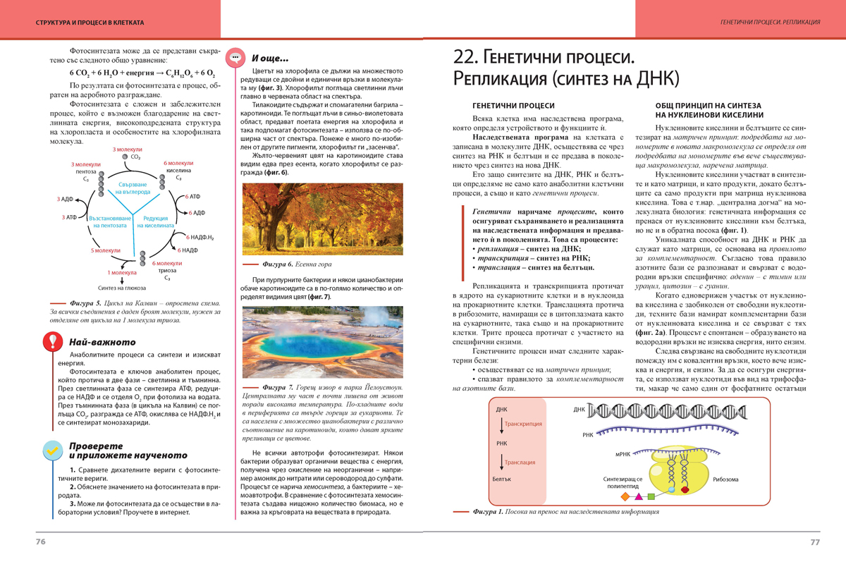 Биология и здравно образование за 9. клас (и втора част за 9. клас при обучение с интензивно изучаване на чужд език) - Image 7