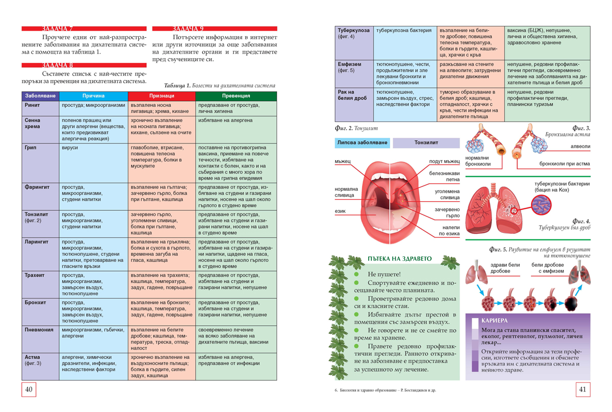 Биология и здравно образование за 8. клас (и първа част за 9. клас при обучение с интензивно изучаване на чужд език) - Image 5