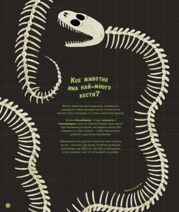 Най-забавните и чудати въпроси: САМО ЗА МНОГОЗНАЙКОВЦИ - Image 3