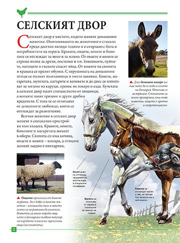 Моята първа книга за животните в България - Image 2