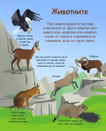 Енциклопедия за най-малките. Планината - Image 2